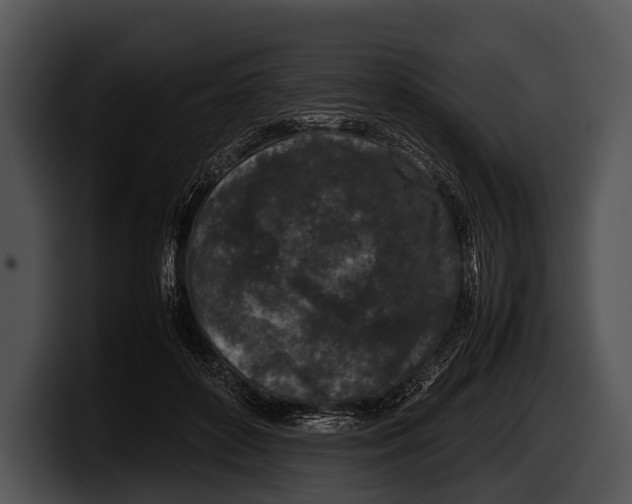X0000100190504200806201257