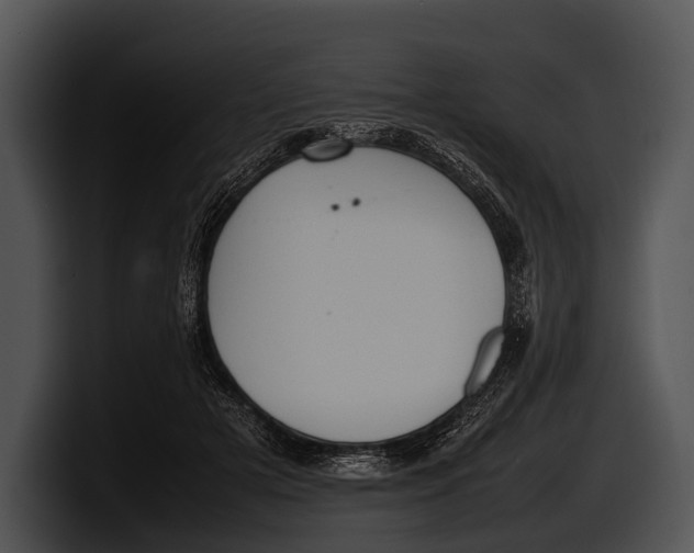 X0000100190505200806201257