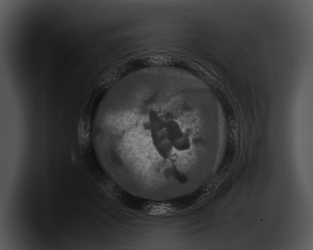 X0000100190507200806201257