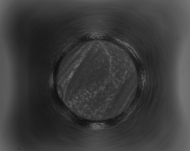 X0000100190508200806201257