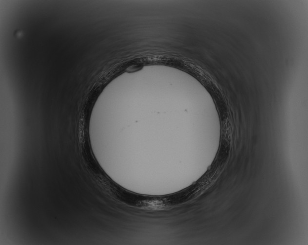 X0000100190509200806201257