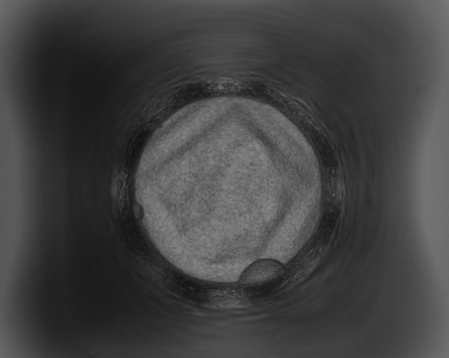 X0000100190511200806201257