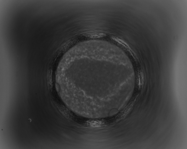 X0000100190512200806201257