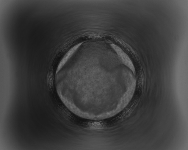 X0000100190513200806201257