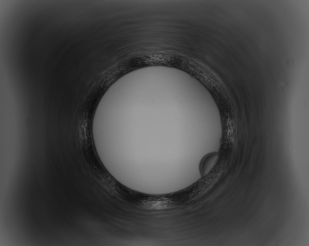 X0000100190514200806201257