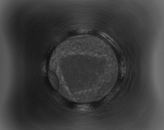 X0000100190516200806201257