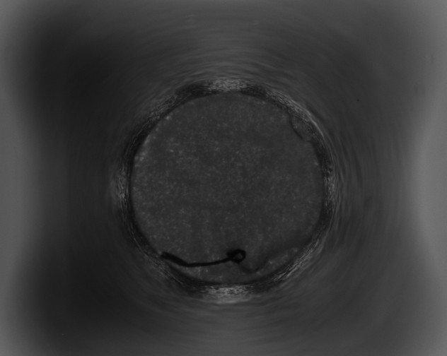 X0000100190517200806201257