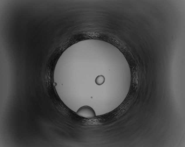 X0000100190518200806201257