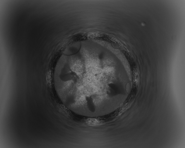 X0000100190519200806201257