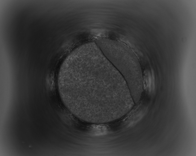 X0000100190520200806201257