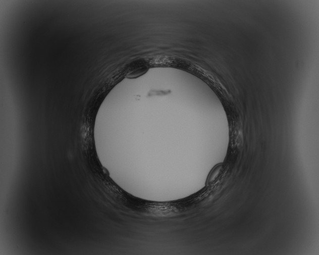 X0000100190521200806201257