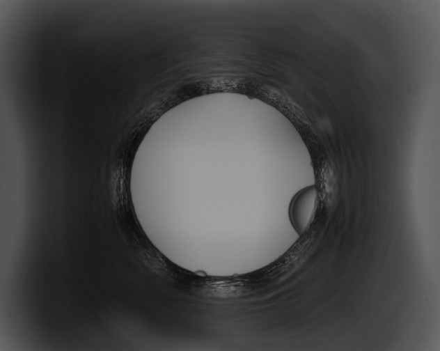 X0000100190522200806201257