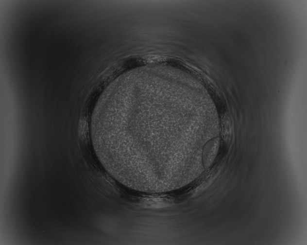 X0000100190523200806201257
