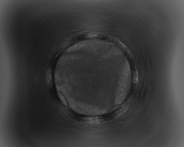X0000100190524200806201257
