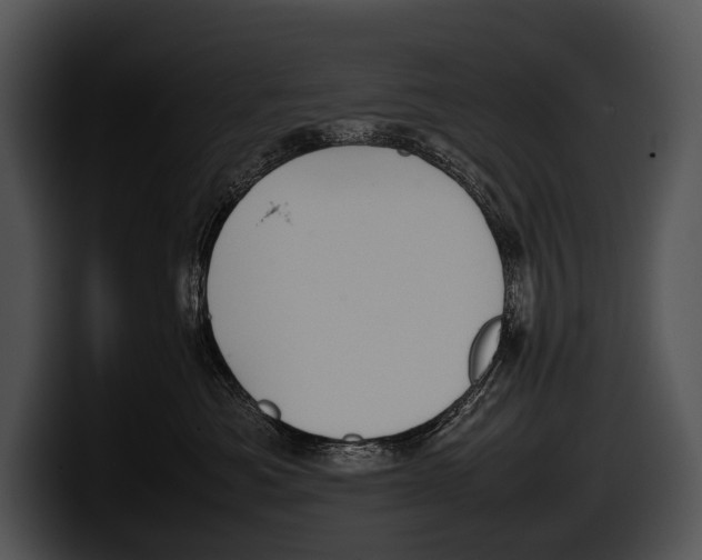 X0000100190525200806201257