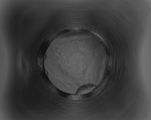 X0000100190526200806201257