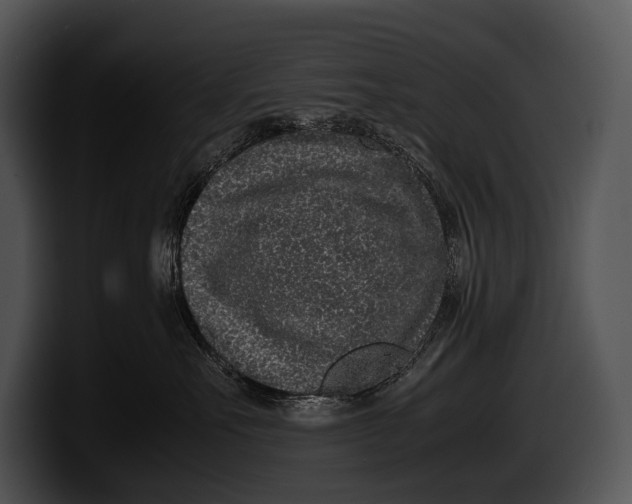 X0000100190527200806201257