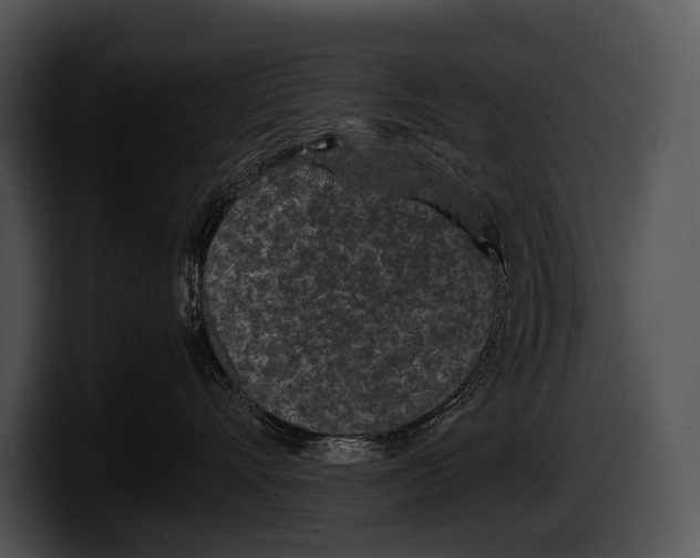 X0000100190528200806201257