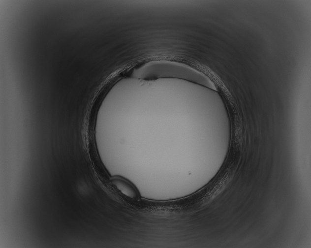 X0000100190530200806201256