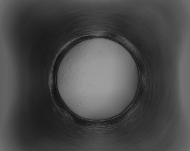 X0000100190532200806201256