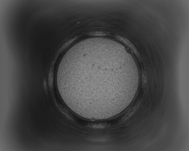 X0000100190533200806201256