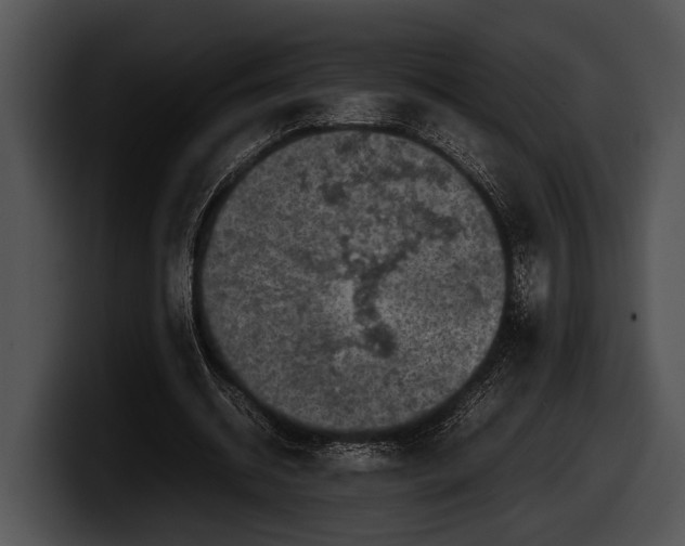X0000100190534200806201256
