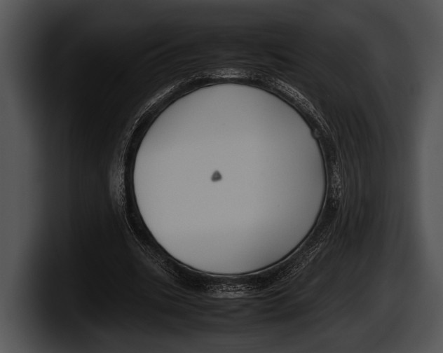X0000100190535200806201256