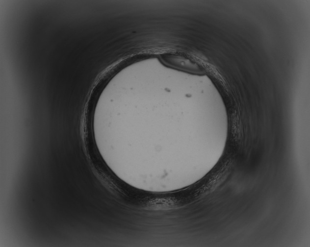 X0000100190536200806201256
