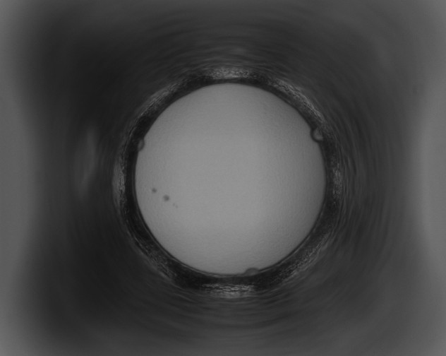 X0000100190539200806201256