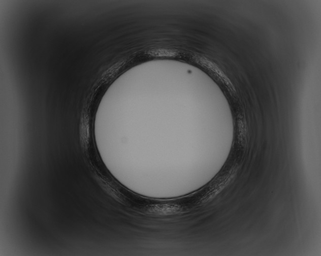 X0000100190541200806201256