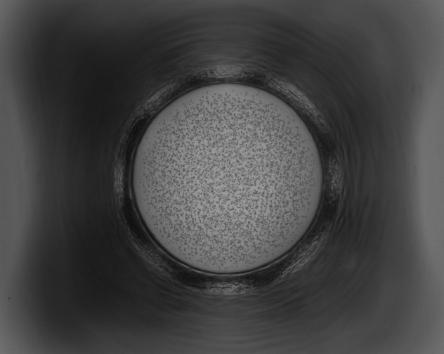 X0000100190542200806201256