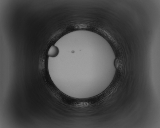 X0000100190543200806201256