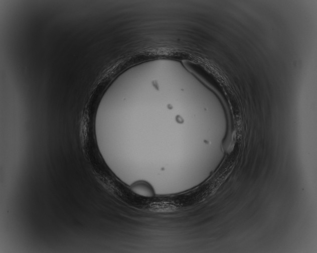 X0000100190544200806201256