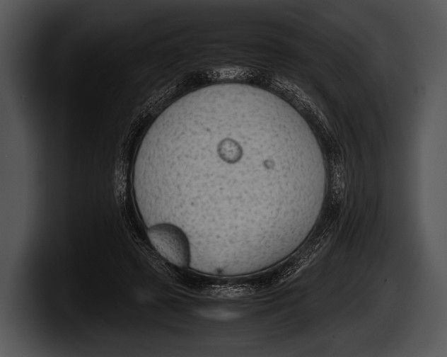 X0000100190545200806201256