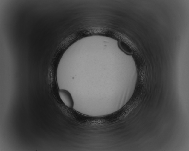 X0000100190546200806201256