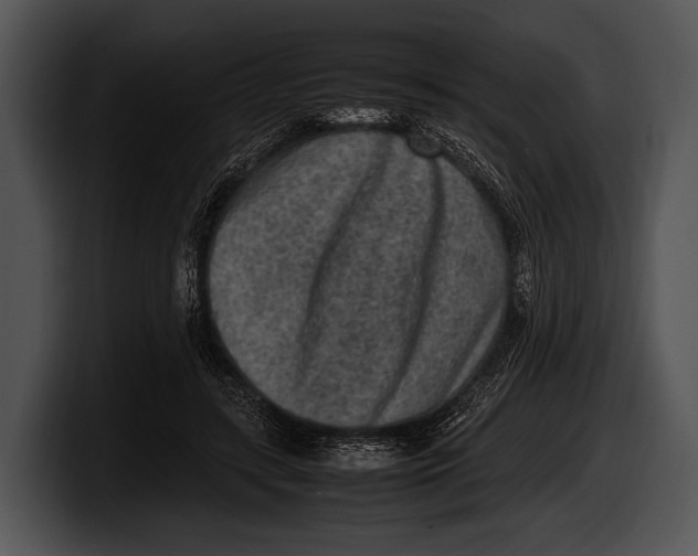 X0000100190547200806201256