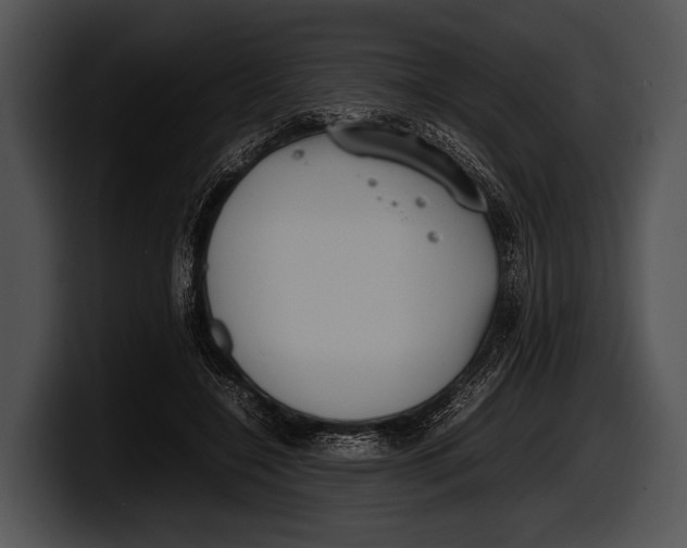 X0000100190548200806201257