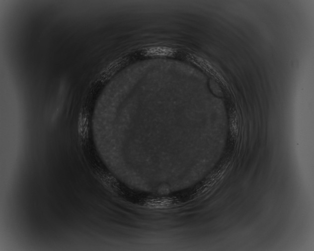 X0000100190551200806201257