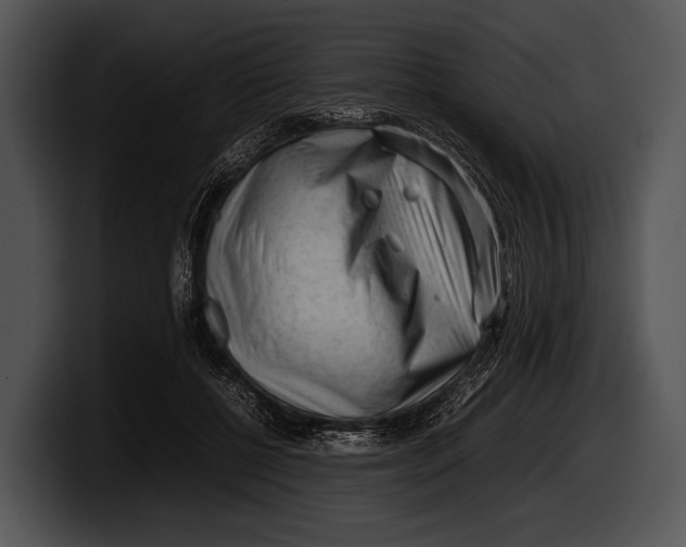 X0000100190552200806201257