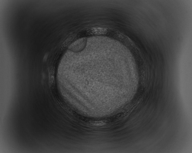 X0000100190553200806201257