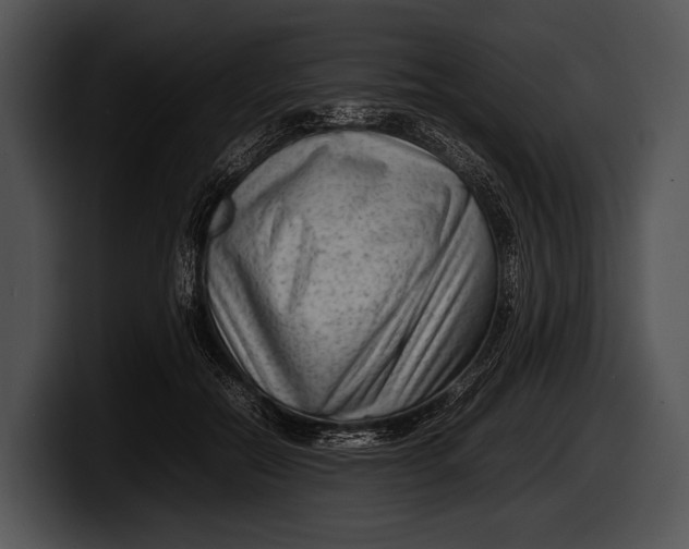 X0000100190554200806201257