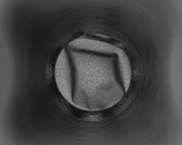 X0000100190555200806201257