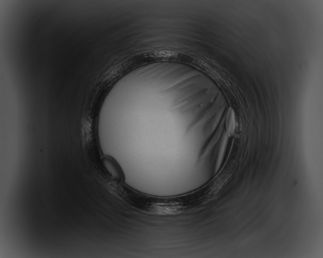 X0000100190556200806201257