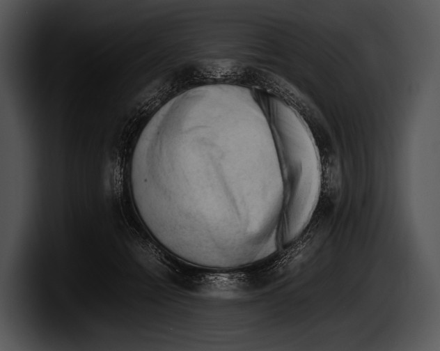 X0000100190558200806201257