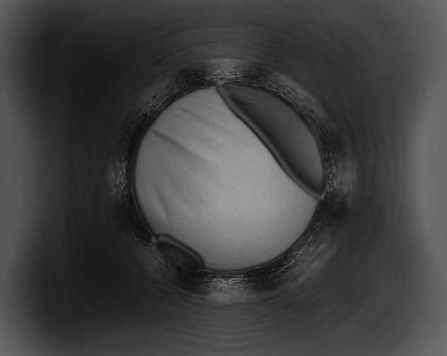 X0000100190560200806201257