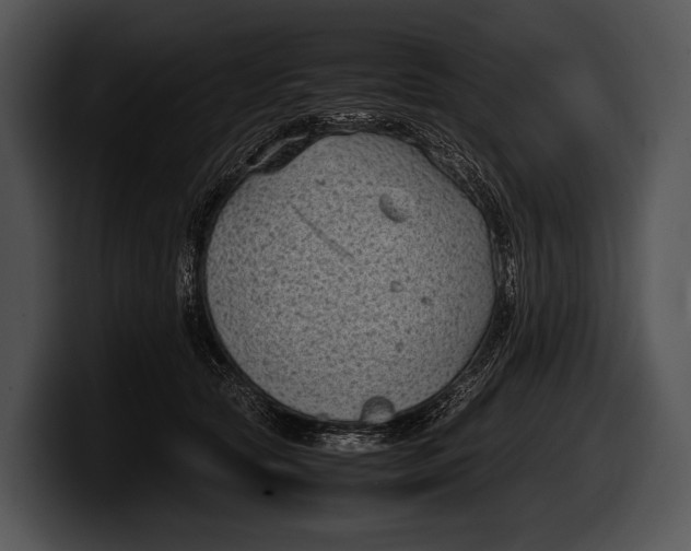 X0000100190561200806201257
