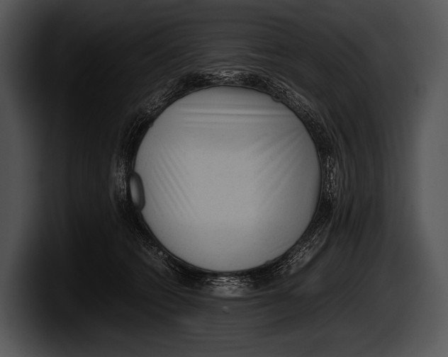 X0000100190562200806201257