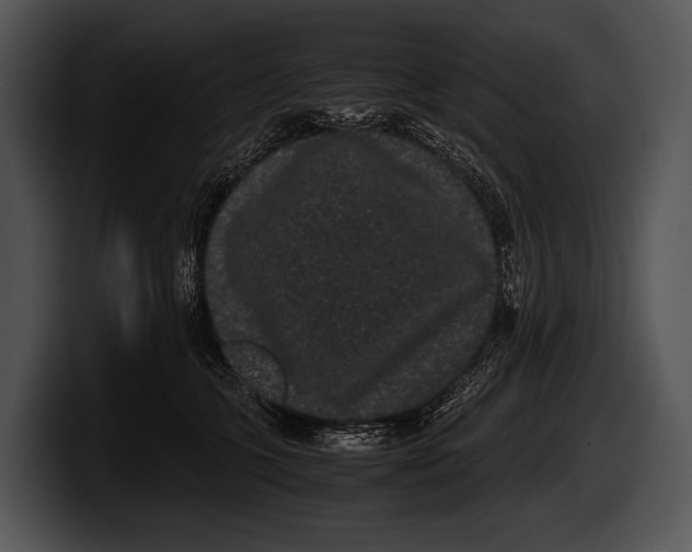 X0000100190563200806201257