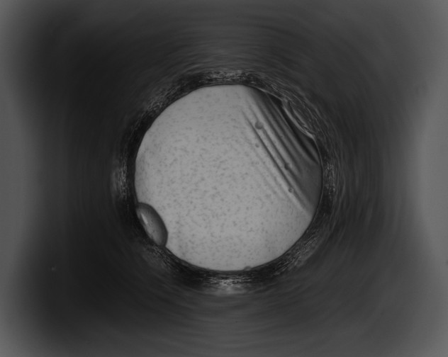 X0000100190564200806201257