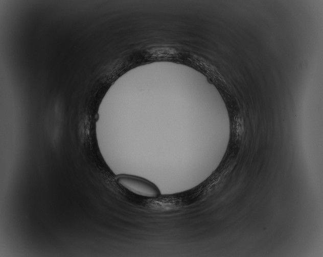 X0000100190567200806201257
